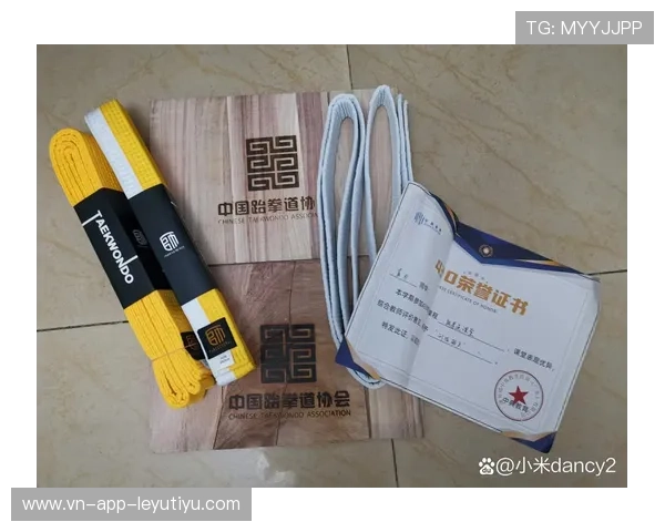 跆拳道学院完善青少年等级考试的评审专家库制度,跆拳道考级评委 跆拳道学院完善青少年等级考试的评审专家库制度,跆拳道考级评委